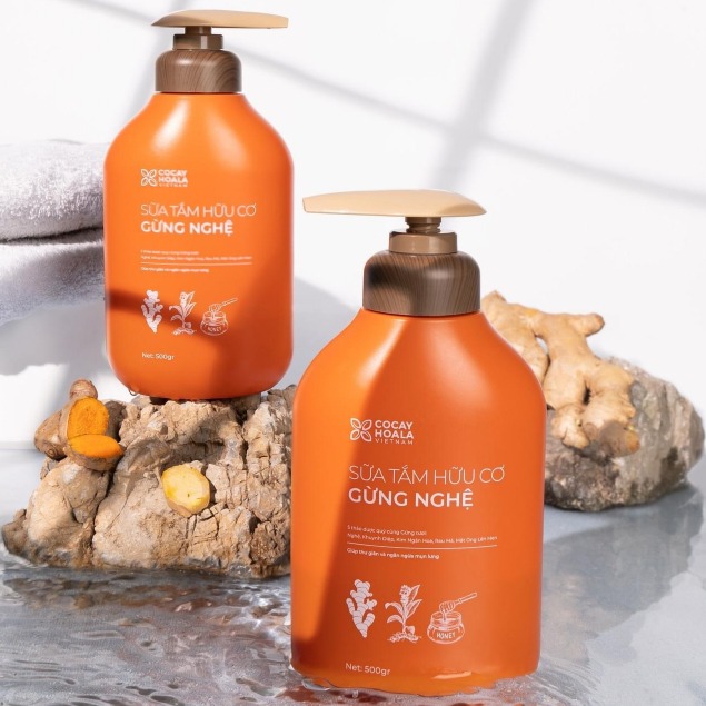 sua-tam-huu-co-gung-nghe 2